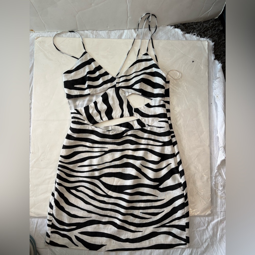 Zara Monochrome Striped Dress with cutouts